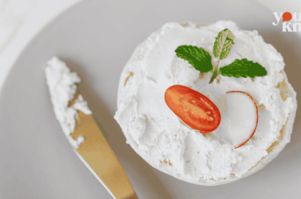 homemade mayonnaise recipe